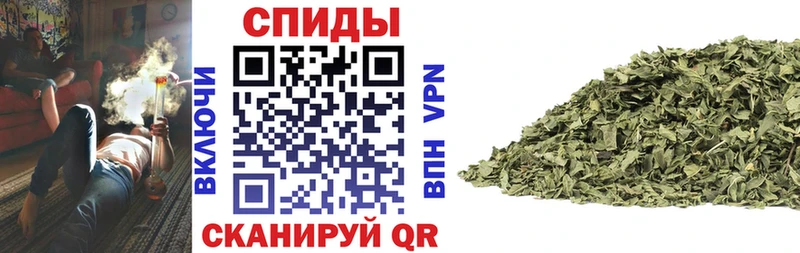 даркнет сайт  Абдулино  Бутират оксана 