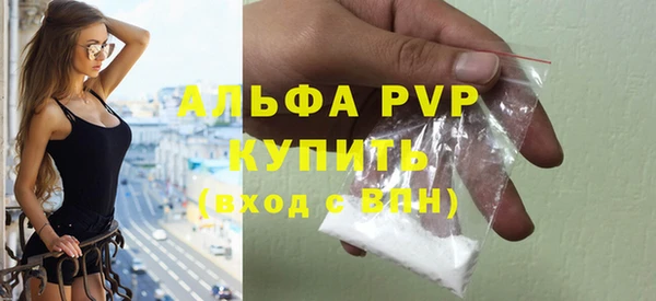 стафф Алексин