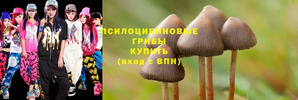 не бодяженный Алзамай