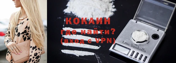 стафф Алексин