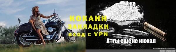 стафф Алексин