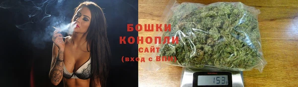 сатива Абаза