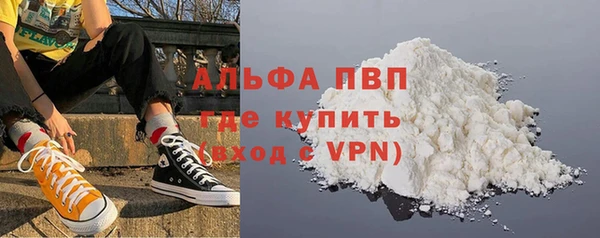стафф Алексин